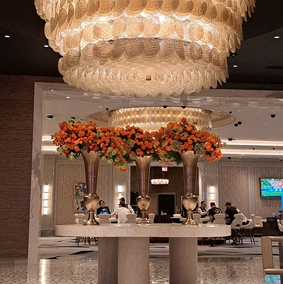 Meet your Posher, Whitesky - Picture 1 of 1